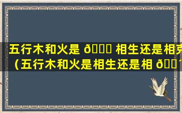 五行木和火是 🐎 相生还是相克（五行木和火是相生还是相 🐴 克关系）